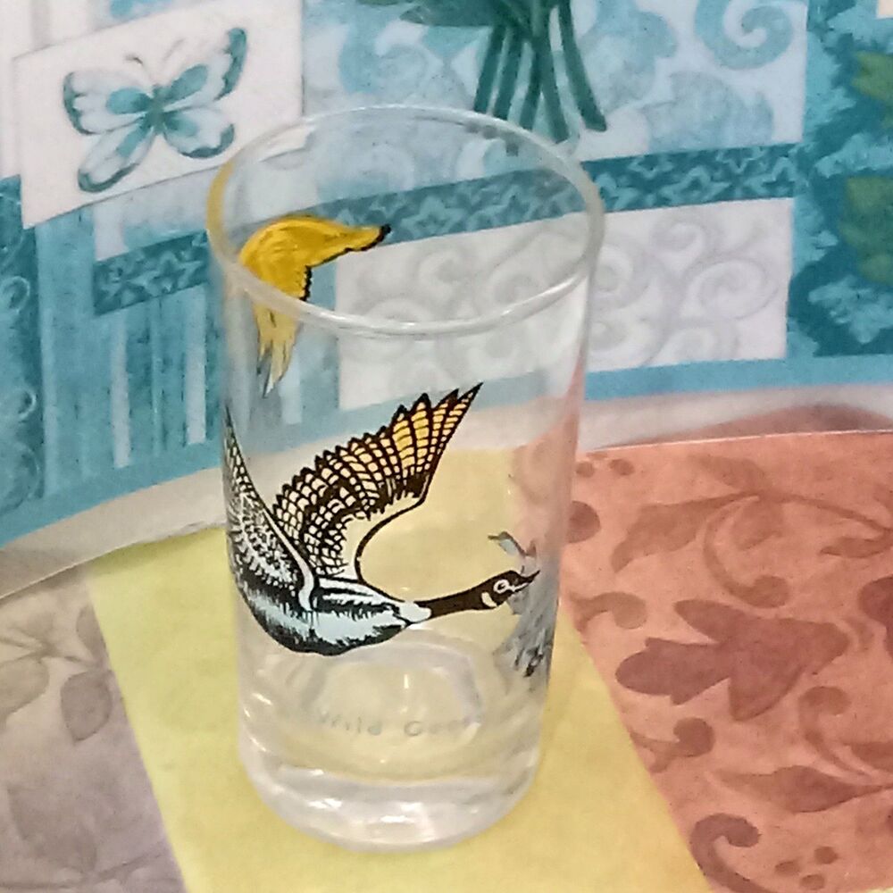 Wild Geese Series Drink Tumbler 12 oz Glass Blue Black Yellow Fowl